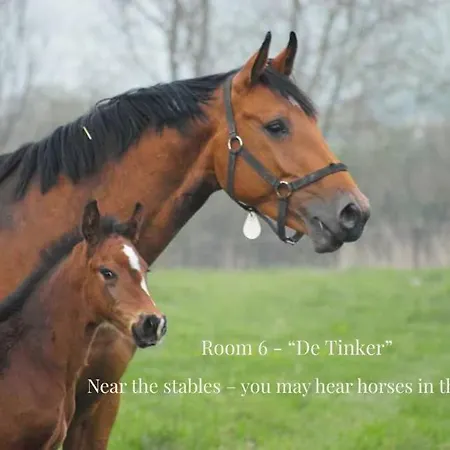 Hoeve De Hemel 3*